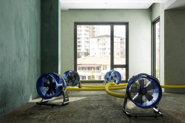 Best Water damage repair service  in Hamilton, IN